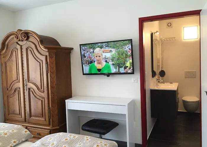 Roemerhof - With Self Check-in 3* Brigerbad